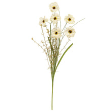 Load image into Gallery viewer, Wild Spring Geranium & Grass Spray, Cream