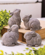 Load image into Gallery viewer, Gray Resin Bunny, 4 Assorted