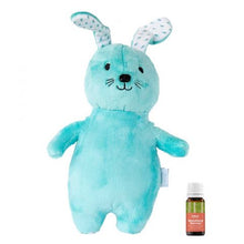 Load image into Gallery viewer, Aroma Plush Pals- Briar Bunny