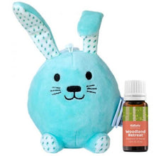 Load image into Gallery viewer, Aroma Plush Pals- Briar Bunny