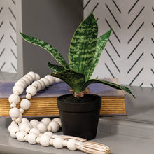 Load image into Gallery viewer, Potted Dark Green Snake Plant
