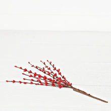 Load image into Gallery viewer, ISB13800RD-12in Pip Berry Pick-Red

