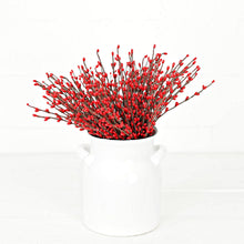 Load image into Gallery viewer, ISB13800RD-12in Pip Berry Pick-Red
