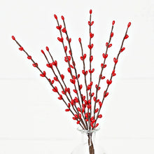 Load image into Gallery viewer, ISB13800RD-12in Pip Berry Pick-Red
