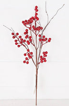 Load image into Gallery viewer, 30815- 19in Pick-Red Ash Berries with wispy twigs
