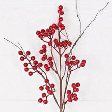Load image into Gallery viewer, 30815- 19in Pick-Red Ash Berries with wispy twigs
