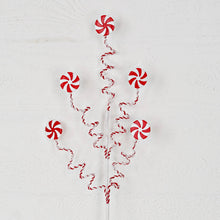 Load image into Gallery viewer, 32017-26in Branch-Peppermint Candyx5 on springing

