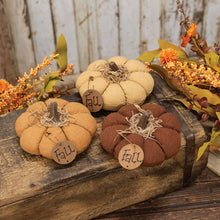 Load image into Gallery viewer, Mini Stuffed Mossy Top "Fall" Pumpkin, 3 Assorted
