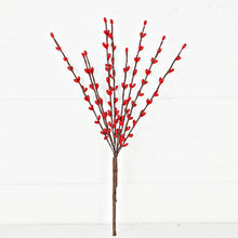 Load image into Gallery viewer, ISB13800RD-12in Pip Berry Pick-Red
