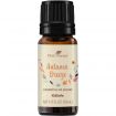 Autumn Breeze Essential Oil Blend 10 mL
