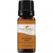 Cinnamon Leaf Essential Oil