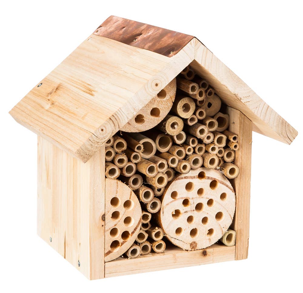 Bee Habitat