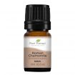 Chamomile Roman Essential Oil