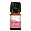 Rose Absolute Essential Oil 5mL